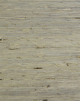 Seabrook Arrowroot Grey Brown Wallpaper
