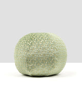 Scalamandre Petal Velvet 12 Dia - Meadow Decorative Pillow