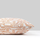 Scalamandre Telly 22 X 22 - Peachmelba Decorative Pillow