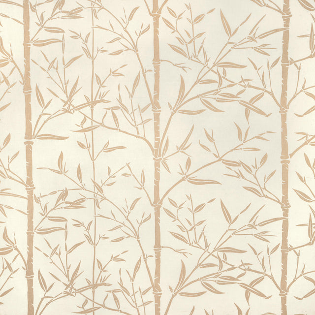 Kravet HS BAMBOO SAND Fabric