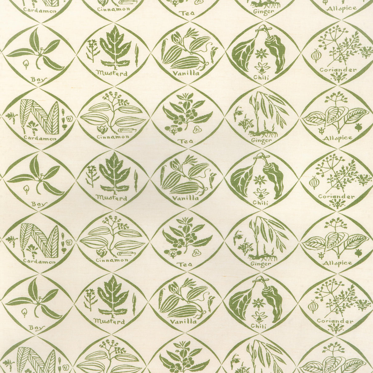 Kravet SPICES CACTUS Fabric