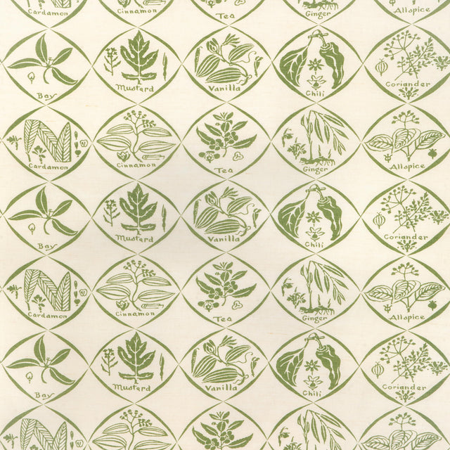 Kravet SPICES CACTUS Fabric