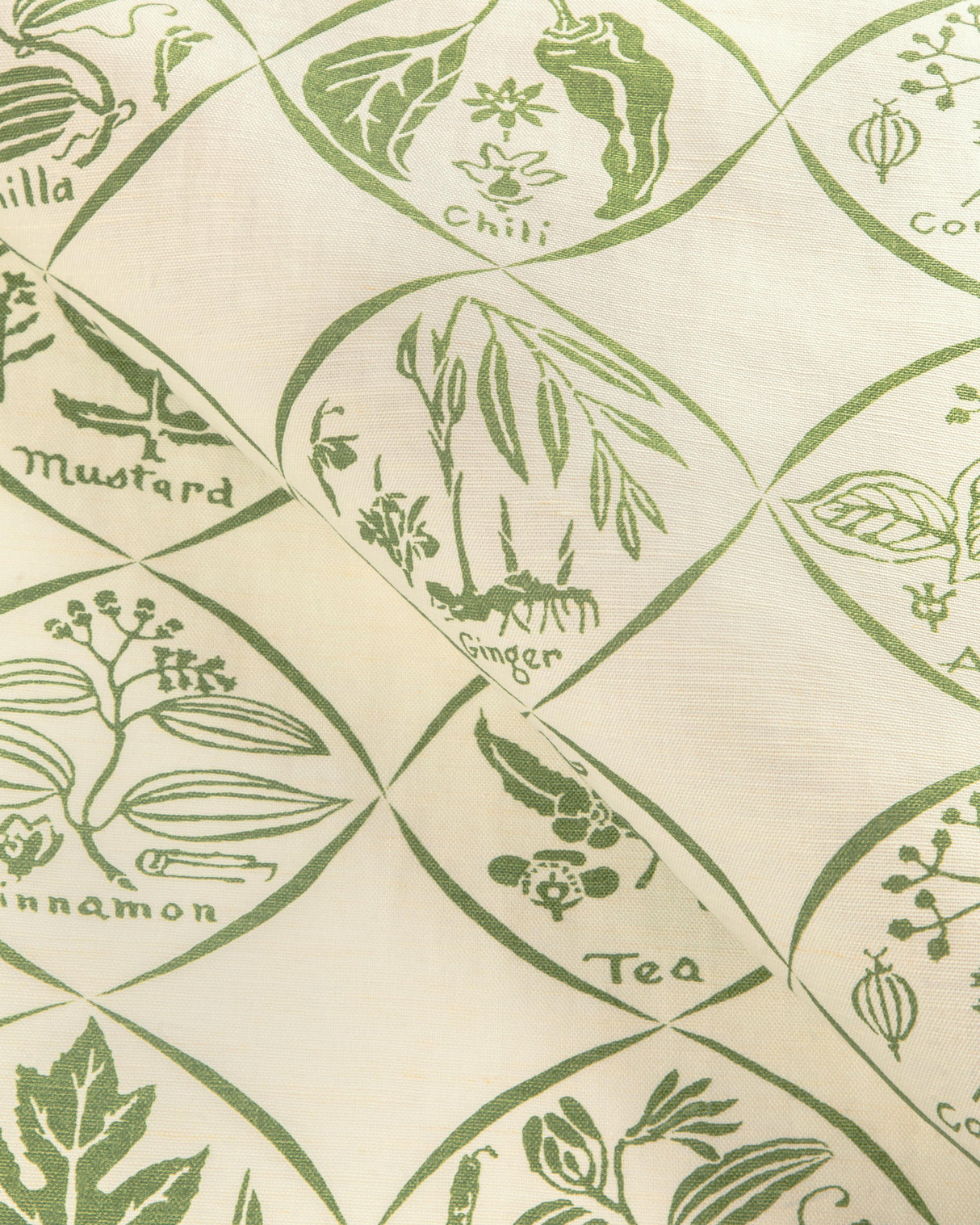 Kravet SPICES CACTUS Fabric