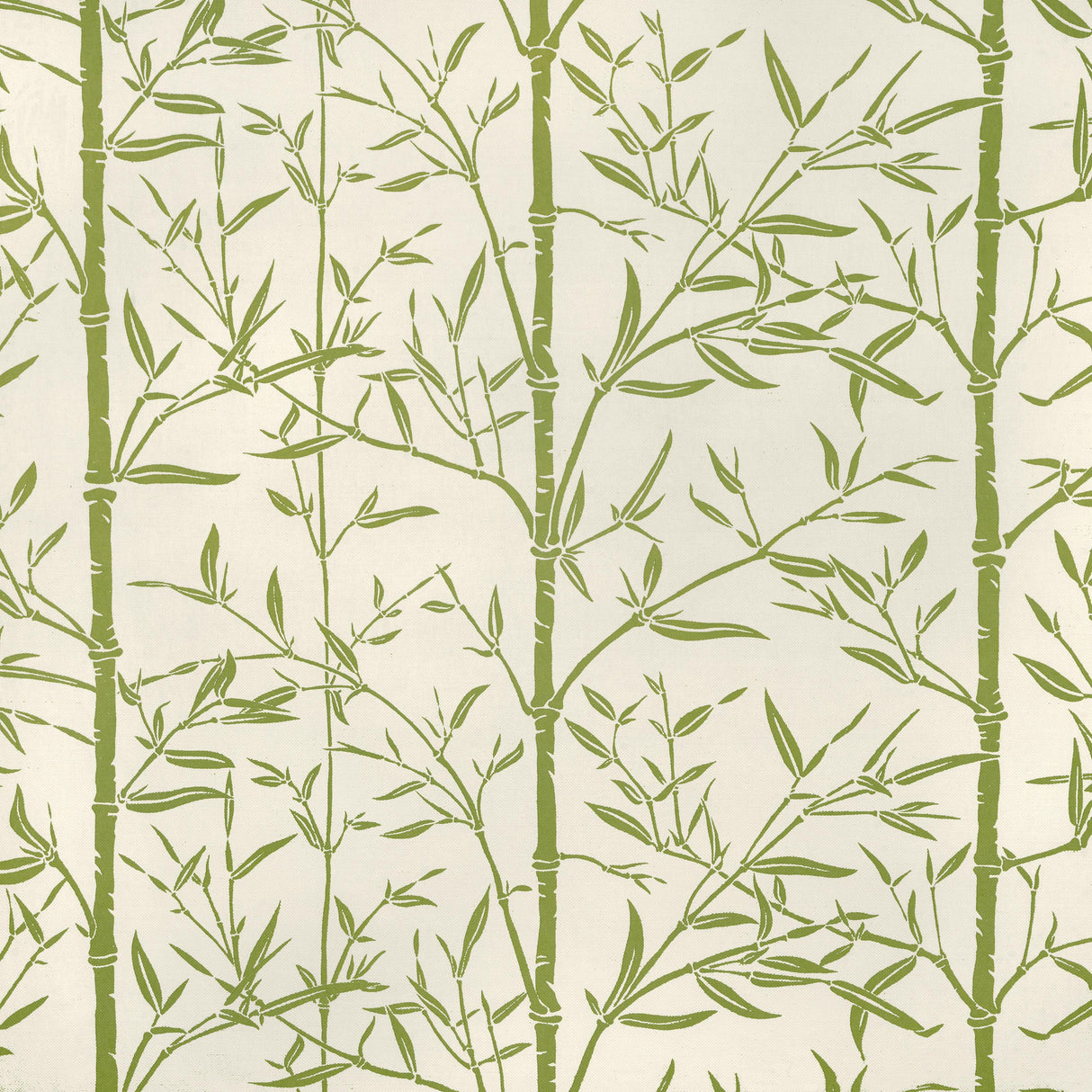 Kravet HS BAMBOO CACTUS Fabric