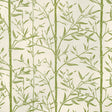 Kravet HS BAMBOO CACTUS Fabric