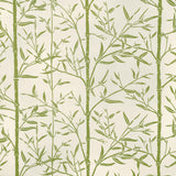 Kravet HS BAMBOO CACTUS Fabric