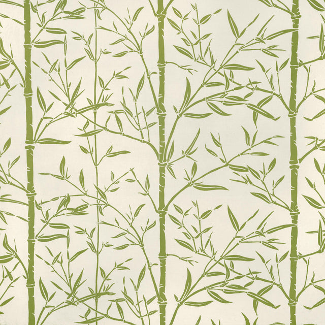 Kravet HS BAMBOO CACTUS Fabric