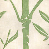 Kravet HS BAMBOO CACTUS Fabric