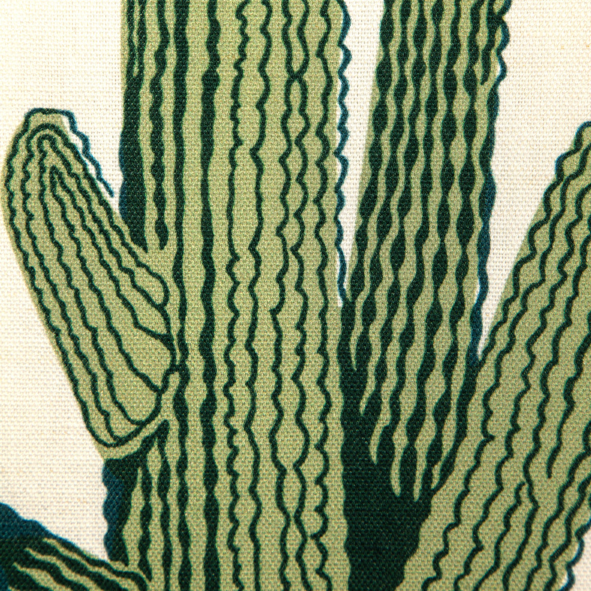 Kravet CACTI LAND AGAVE Fabric