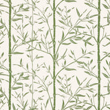 Kravet BAMBOO WP CACTUS Wallpaper
