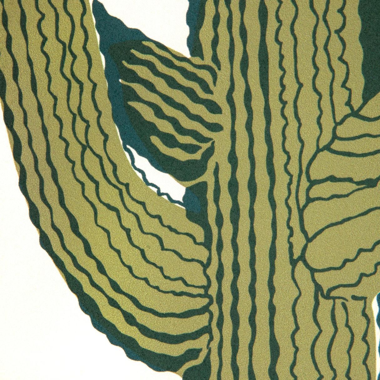 Kravet CACTI LAND WP AGAVE Wallpaper