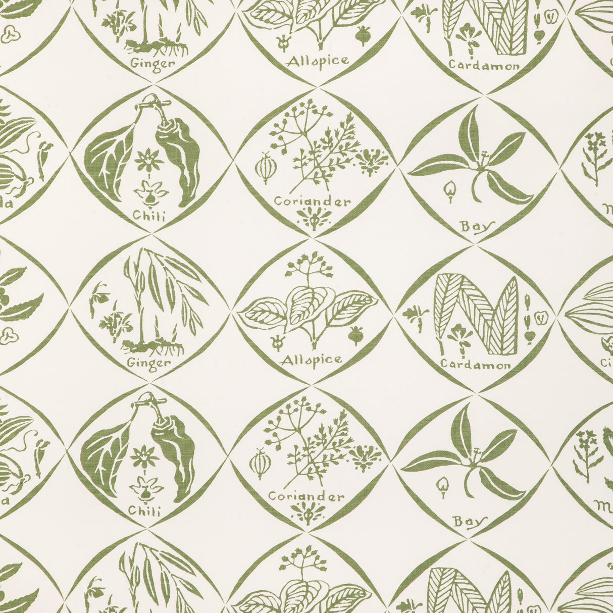 Kravet SPICES WP CACTUS Wallpaper