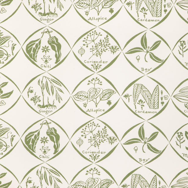 Kravet SPICES WP CACTUS Wallpaper