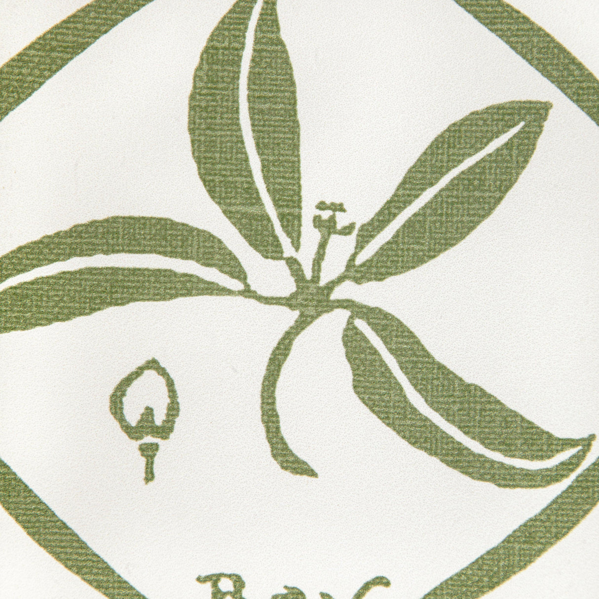 Kravet SPICES WP CACTUS Wallpaper