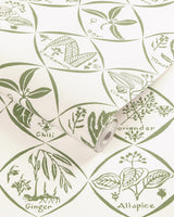 Kravet SPICES WP CACTUS Wallpaper