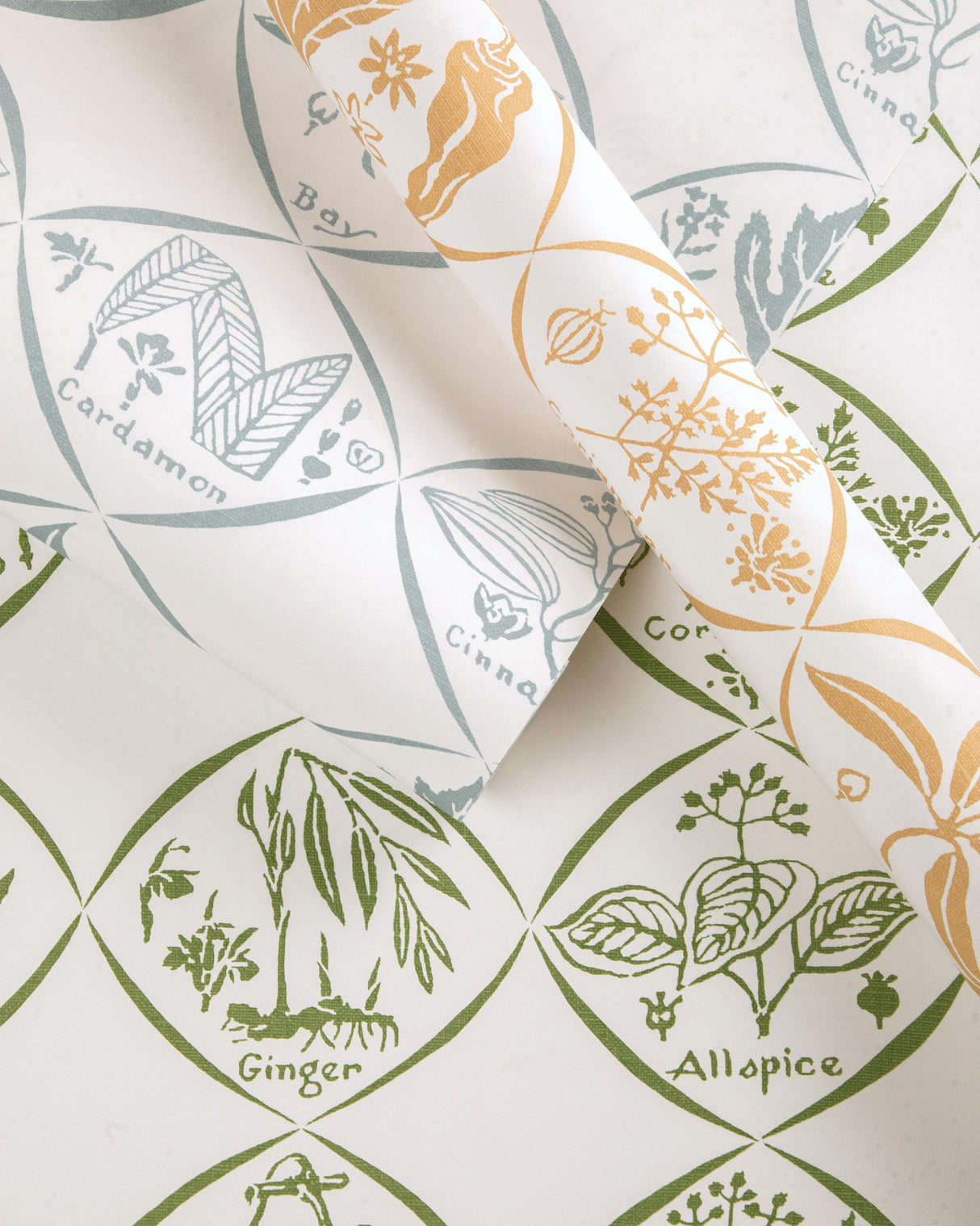 Kravet SPICES WP CACTUS Wallpaper