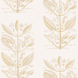 Kravet SUGAR AND SPICE WP SAND Wallpaper