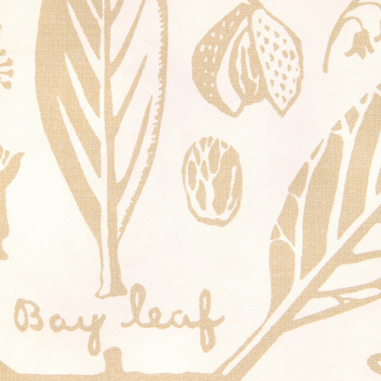 Kravet SUGAR AND SPICE WP SAND Wallpaper