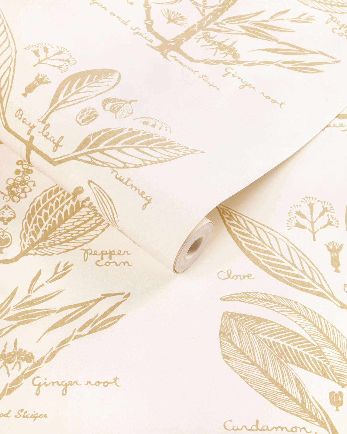 Kravet SUGAR AND SPICE WP SAND Wallpaper