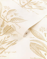 Kravet SUGAR AND SPICE WP SAND Wallpaper