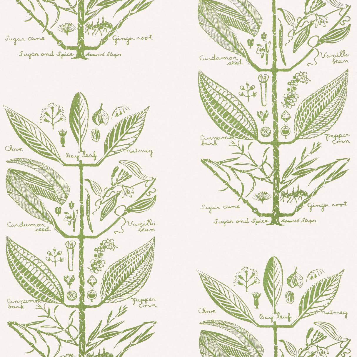 Kravet SUGAR AND SPICE WP CACTUS Wallpaper