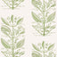 Kravet SUGAR AND SPICE WP CACTUS Wallpaper