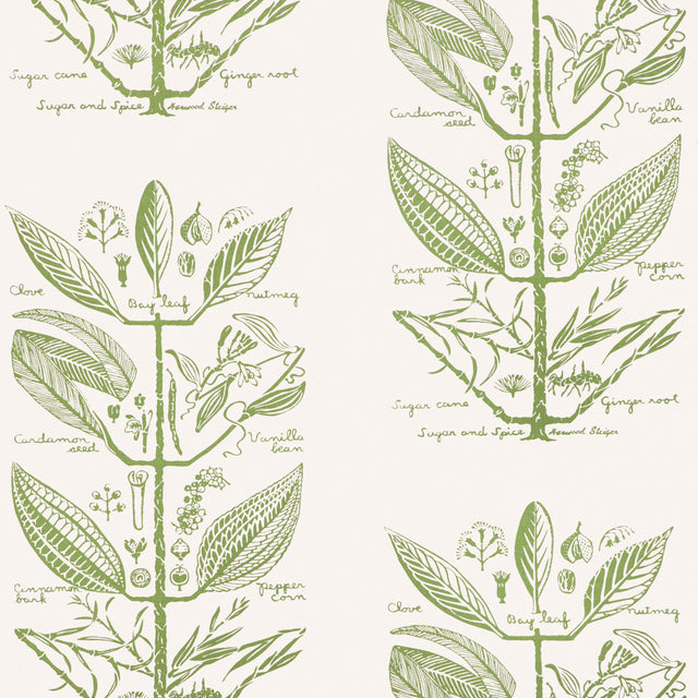 Kravet SUGAR AND SPICE WP CACTUS Wallpaper