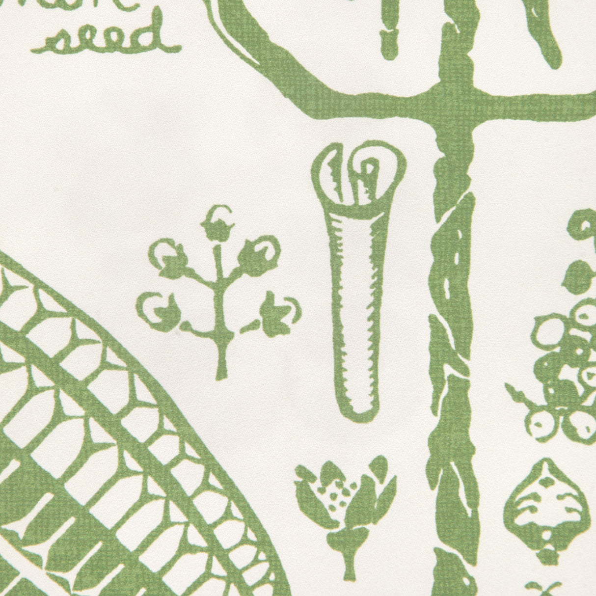 Kravet SUGAR AND SPICE WP CACTUS Wallpaper