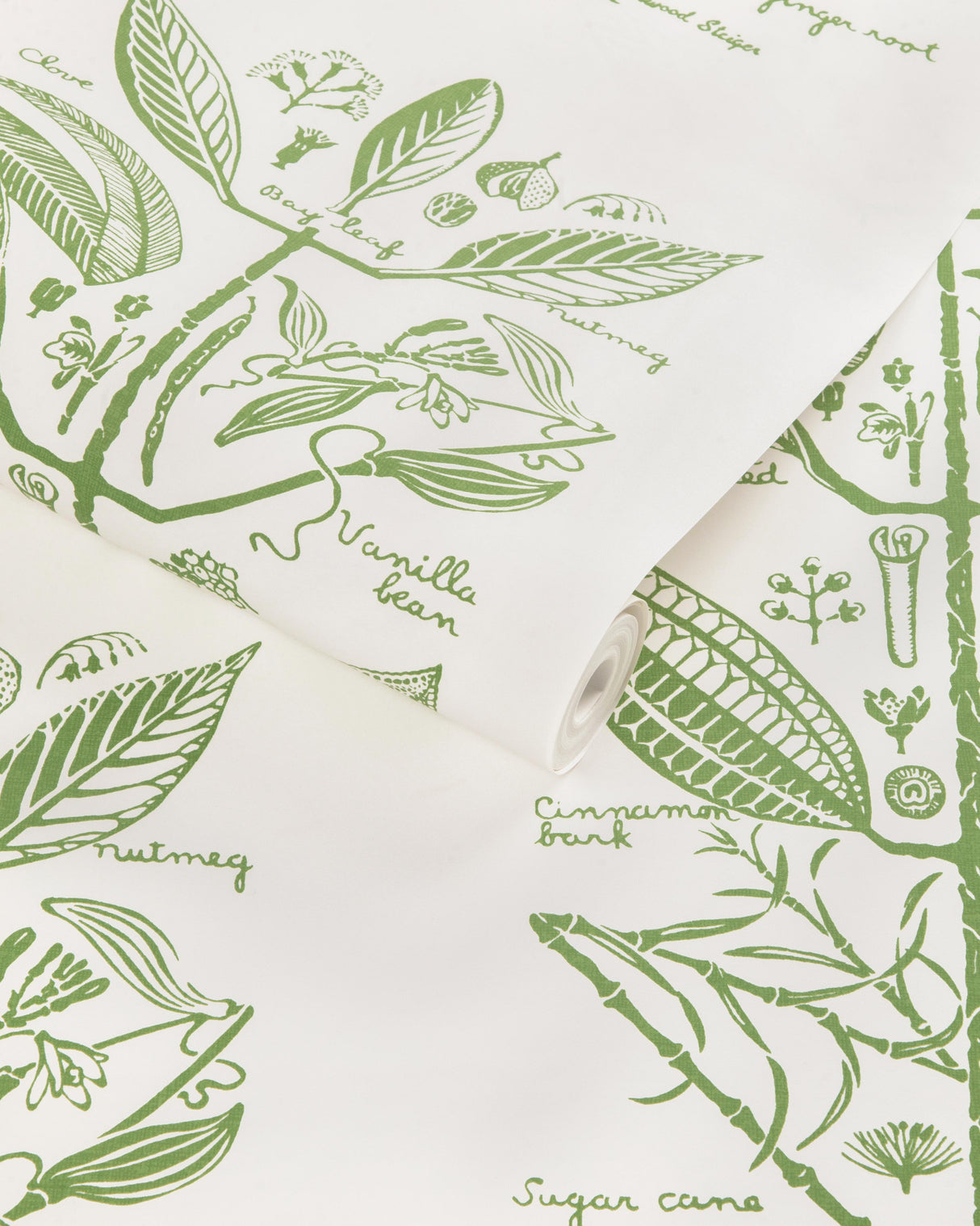 Kravet SUGAR AND SPICE WP CACTUS Wallpaper