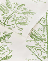 Kravet SUGAR AND SPICE WP CACTUS Wallpaper