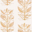 Kravet SUGAR AND SPICE WP GOLD Wallpaper
