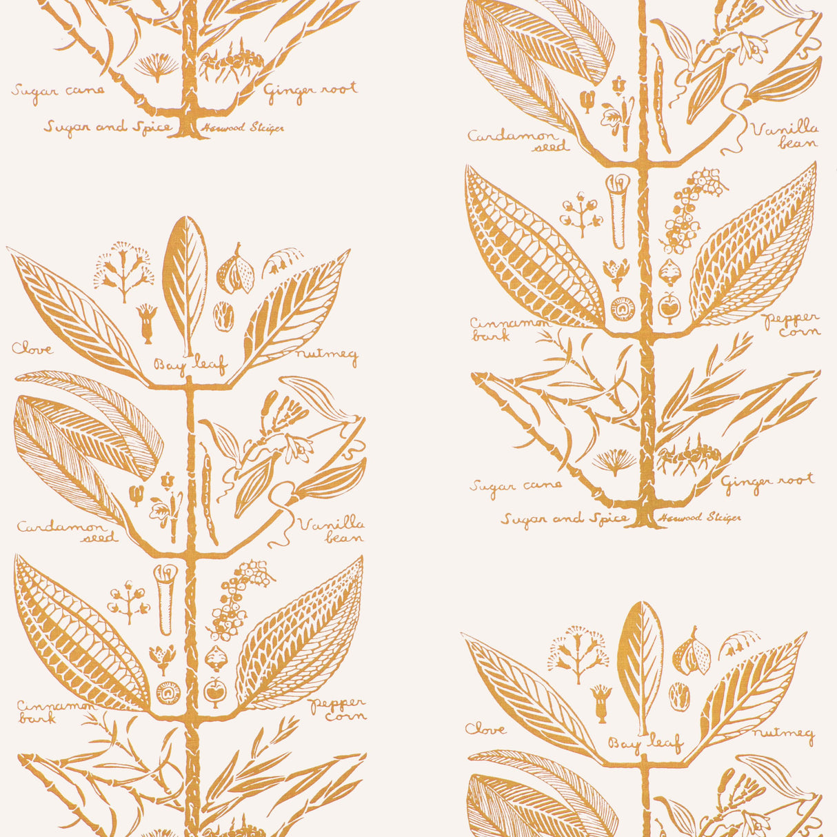 Kravet SUGAR AND SPICE WP GOLD Wallpaper