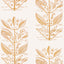 Kravet SUGAR AND SPICE WP GOLD Wallpaper