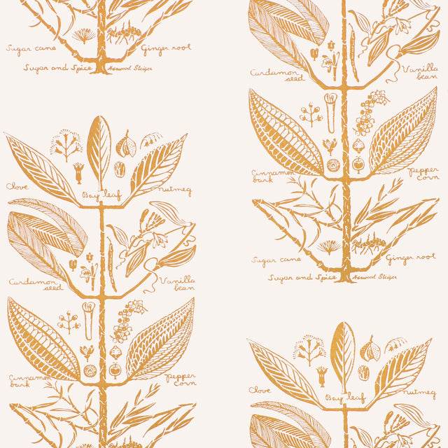 Kravet SUGAR AND SPICE WP GOLD Wallpaper