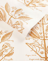 Kravet SUGAR AND SPICE WP GOLD Wallpaper