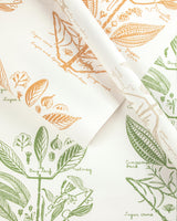 Kravet SUGAR AND SPICE WP GOLD Wallpaper