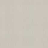 Winfield Thybony VAROLA PUTTY Wallpaper