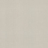 Winfield Thybony VAROLA PUTTY Wallpaper