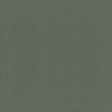 Winfield Thybony VAROLA JUNIPER Wallpaper