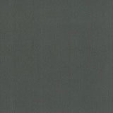 Winfield Thybony VAROLA MIDNIGHT Wallpaper