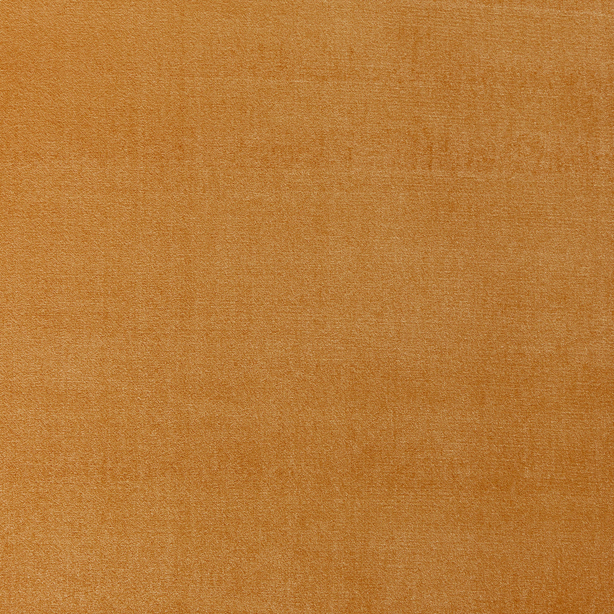 Donghia MOONLIGHT GOLD Upholstery Fabric
