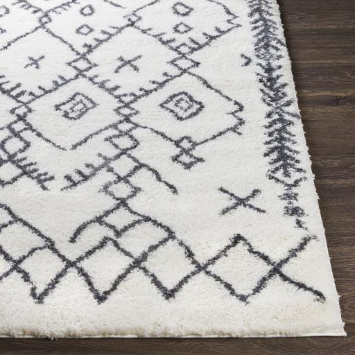 Surya Aliyah Shag ALH-2314 5'3" x 7'3" Rug