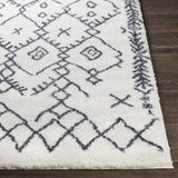 Surya Aliyah Shag ALH-2314 5'3" x 7'3" Rug
