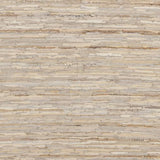 Surya Anthracite ATE-8000 2' x 3' Rug