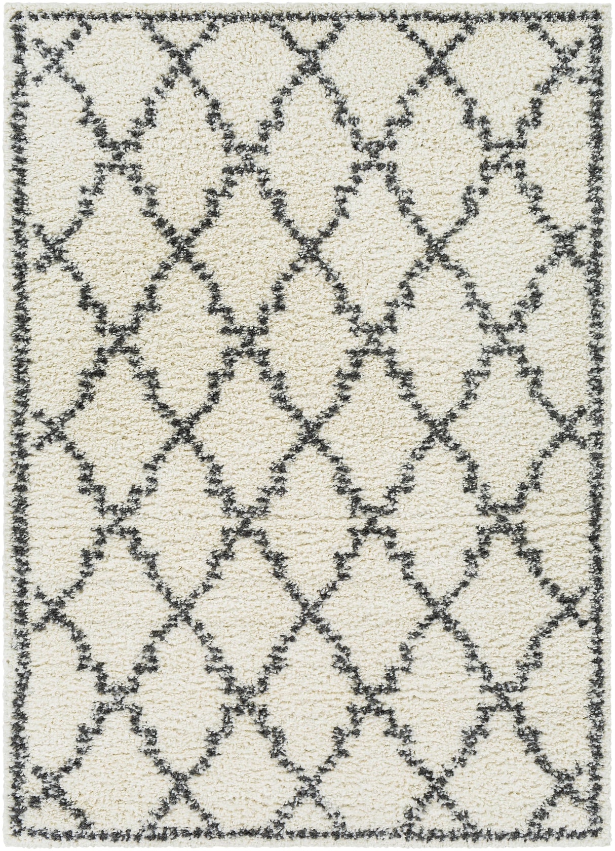Surya Deluxe Shag DXS-2306 2' x 3' Rug