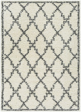 Surya Deluxe Shag DXS-2306 2' x 3' Rug