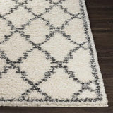 Surya Deluxe Shag DXS-2306 2' x 3' Rug