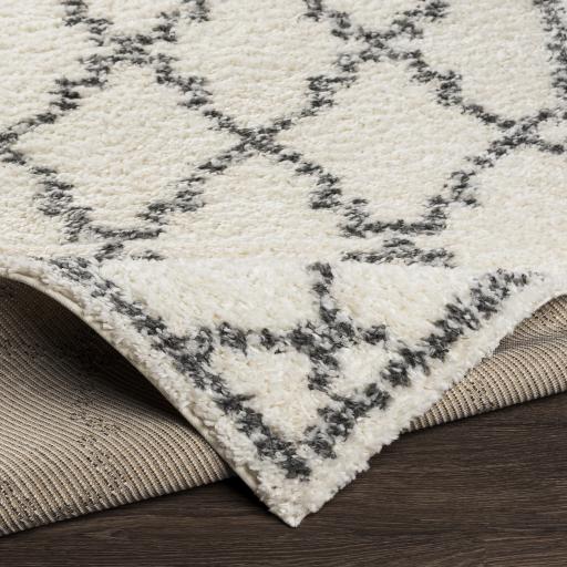 Surya Deluxe Shag DXS-2306 2' x 3' Rug
