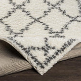 Surya Deluxe Shag DXS-2306 2' x 3' Rug