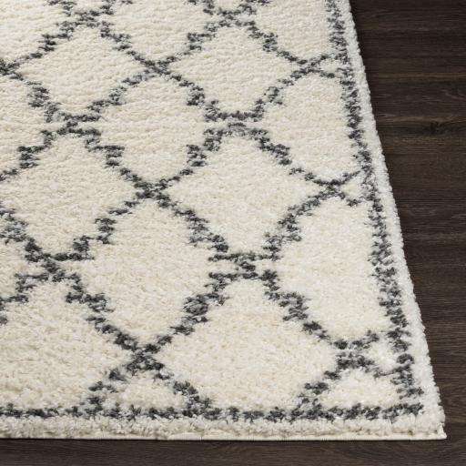Surya Deluxe Shag DXS-2306 2' x 3' Rug